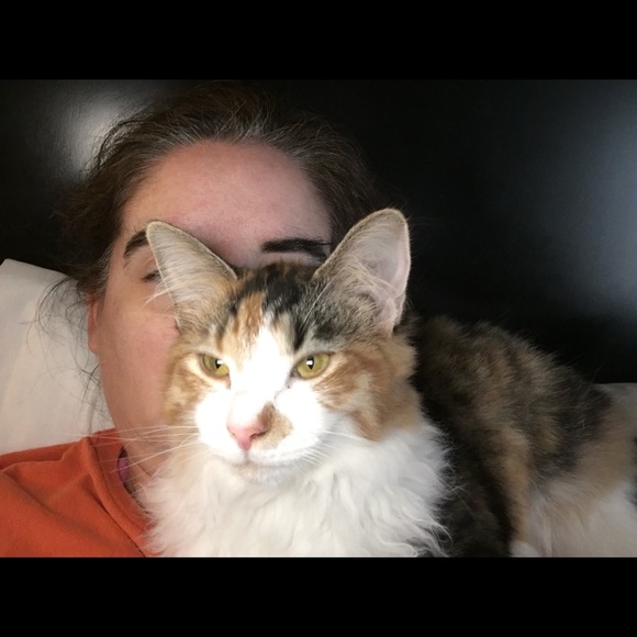 Meet your Posh Ambassador, Jennifer - Picture 3 of 13